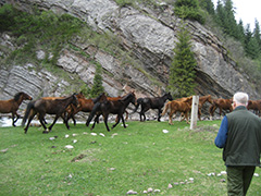 Vietnam,-Centralasien-2010-094.jpg