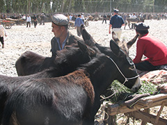 Sidenvagen-2007-076.jpg