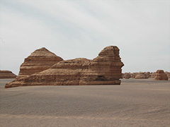 DSC_0213-240.jpg